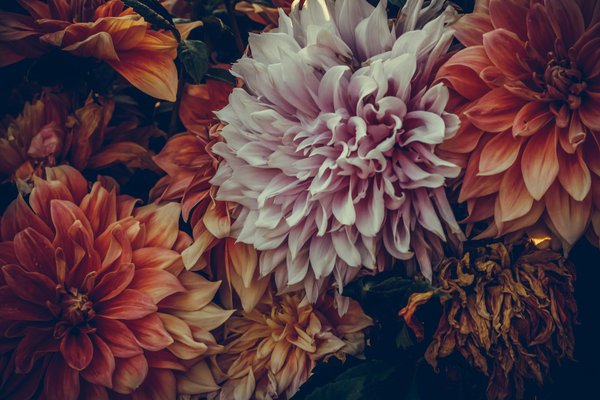 Emballez votre intérieur: 10 créations de menuiserie DIY pour sublimer votre maison